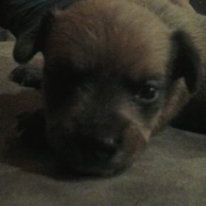 Meet your Posher, Eduardo